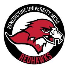 Benedictine University at Mesa