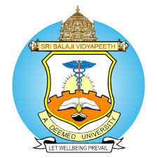 Sri Balaji Vidyapeeth University