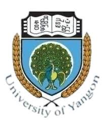 Yangon University