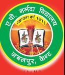 A. P. Narmada College logo