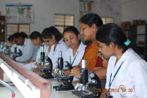 college gallery image