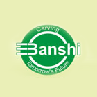 Banshi College of Education logo