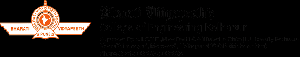 Bharati Vidyapeeths College of Engineering logo
