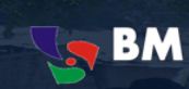 BM Group of Colleges logo