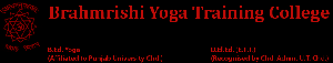 Brahmrishi Yoga Training College logo