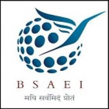 BS Anangpuria Institute of Technology and  Management logo