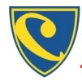 CIE British School logo
