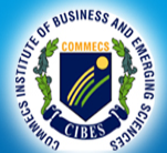 Commecs Institute of Business and Emerging Sciences logo