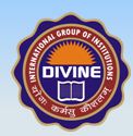 Divine International Group of Institutions logo