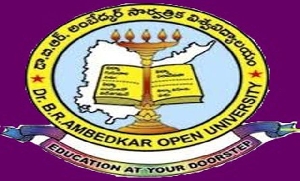 Dr  B R  Ambedkar University logo