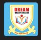 Dream Valley College logo