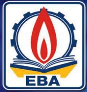 Emcons Business Academy logo