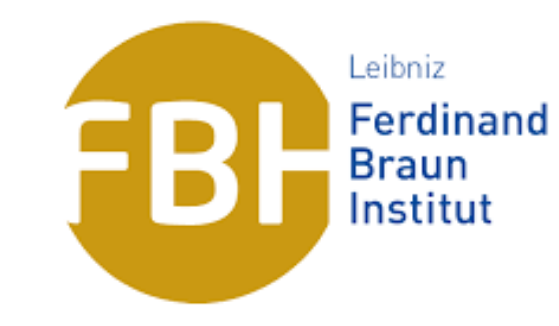 Ferdinand Braun Institut logo