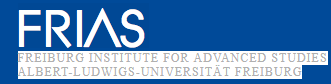 Freiburg Institute for Advanced Studies logo