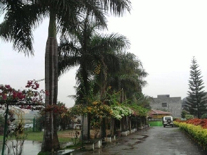 college gallery image