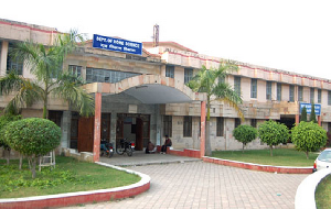 college gallery image