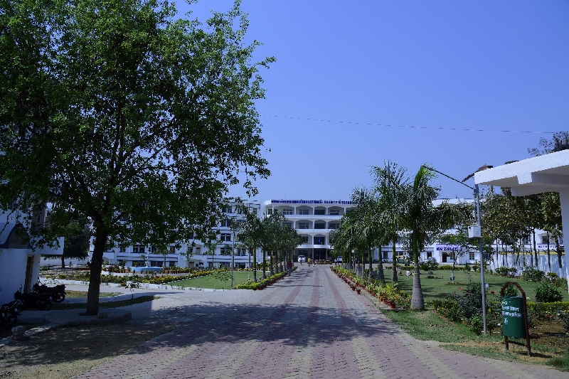 college gallery image