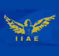 Indian Institute of Aircraft Engineering logo