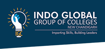 Indo Global Colleges logo