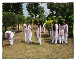 college gallery image