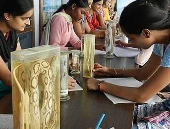 college gallery image