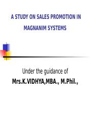 Magnanim Systems logo