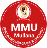 MM Institute of Hotel Manangement and Catering Technology logo