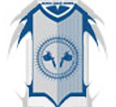 Osiyan School of Business Management and Animation logo