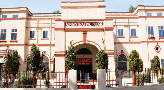 college gallery image