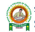Shah Satnam Ji College of Education logo