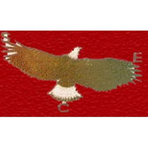 Shaheen College of Education logo