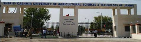 college gallery image