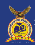 Siddhant College of Engineering logo