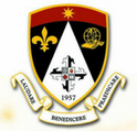 Siena College of Taytay logo