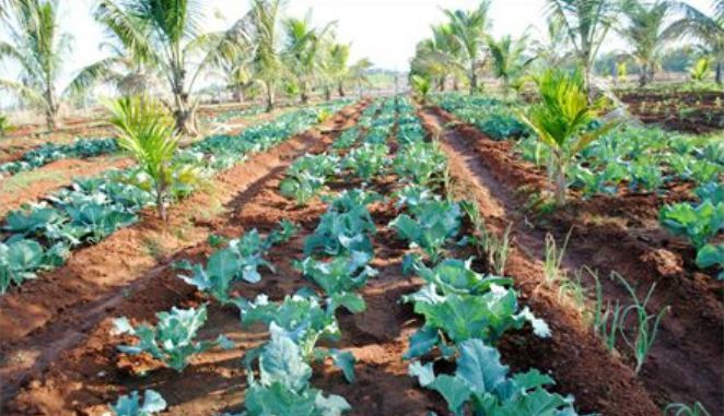 college gallery image