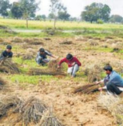 college gallery image