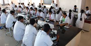 college gallery image