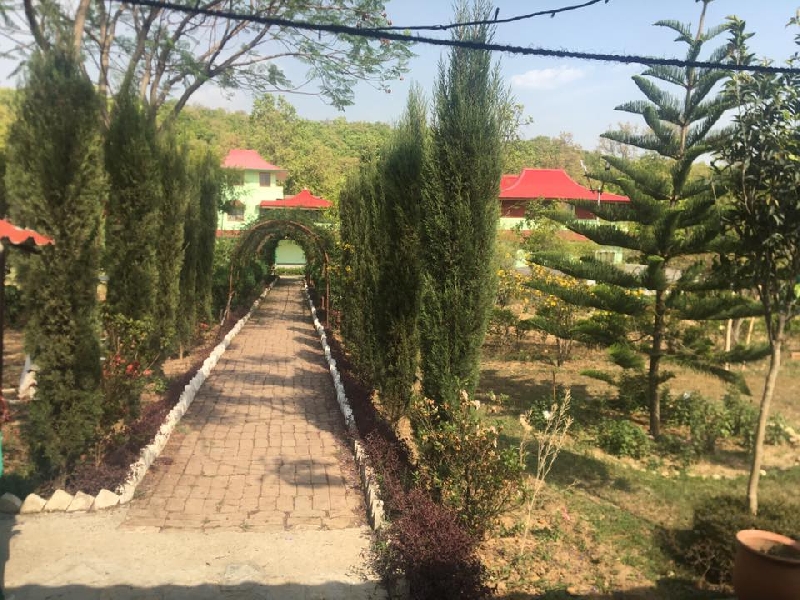 college gallery image