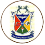 Starex Institution of Education logo