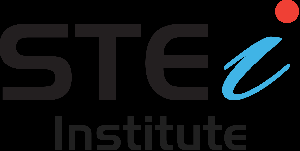 Stei Institute logo