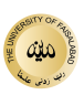 The University of Faisalabad logo