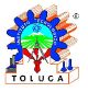 Toluca Institute of Technology logo