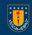 Universidad de Concepcion logo