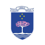 Universidad del Cono Sur de las Americas logo