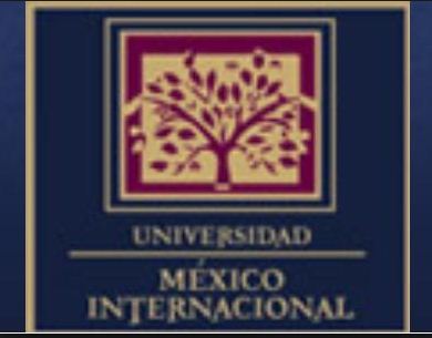 Universidad Mexico Internacional logo