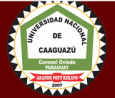 Universidad Nacional de Caaguazu logo