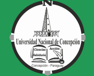 Universidad Nacional de Concepcion logo