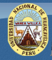 Universidad Nacional de Huancavelica logo