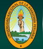 Universidad Nacional de la Amazonia Peruana logo