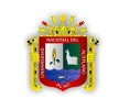 Universidad Nacional Del Altiplano logo
